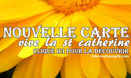 Vive Sainte Catherine Image St Catherine Avec Fleur