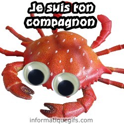 un crabe avec des gros yeux